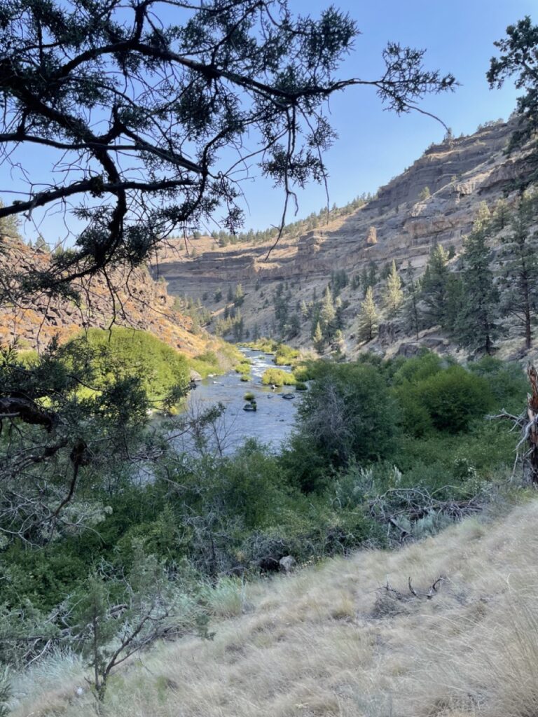 Trail leading down to the Deschutes River and Steelhead Falls
