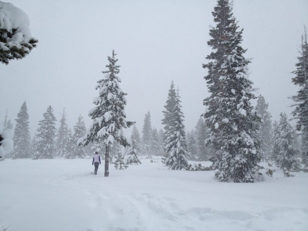 Swampy Lakes Snowshoe