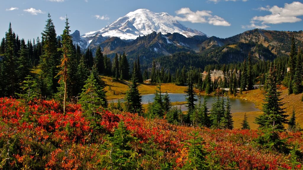 Autumn colors in Mt. Rainier National Park