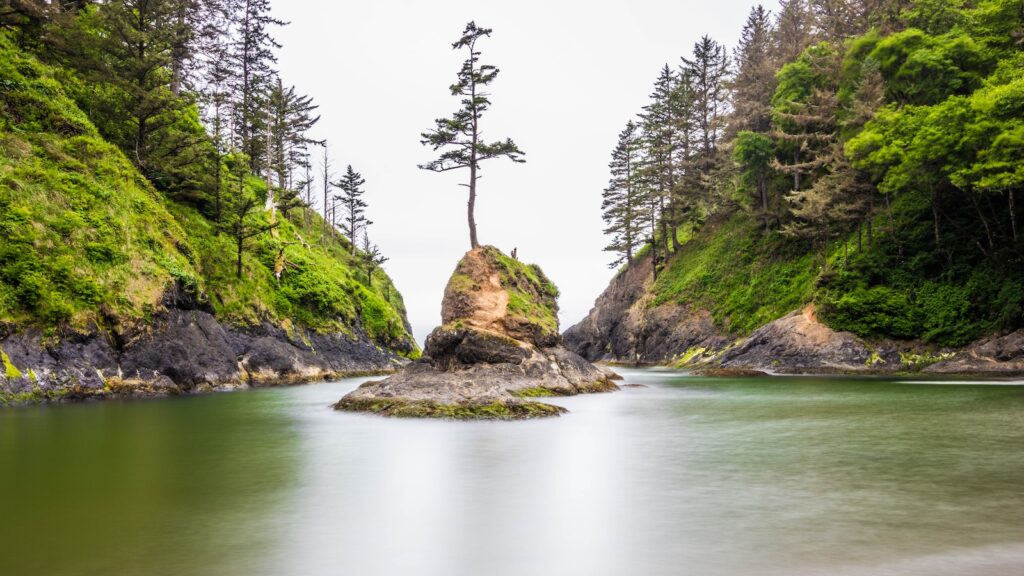 Dead Man's Cove, Cape Disappointment