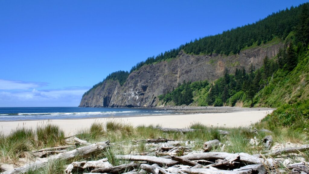 Cape Lookout State Park Oregon