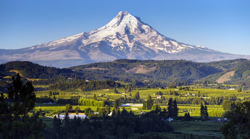 Mt. Hood from Panorama Point in Hood River, Oregon. Mountain with blue sky and green pastures and orchards.