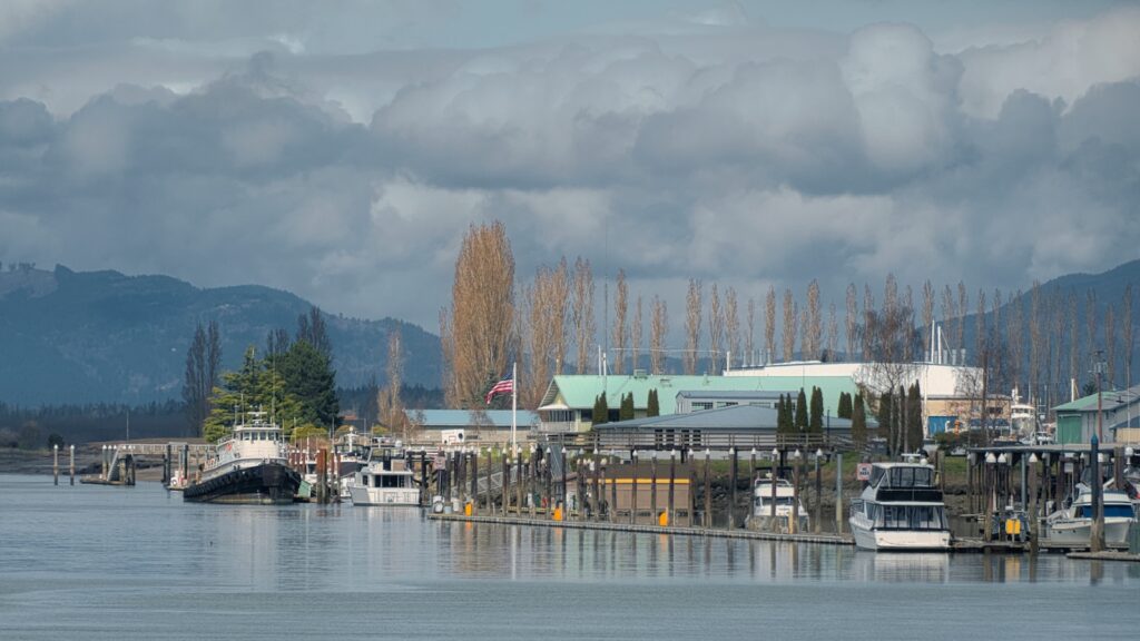 THE SHORELINE ON THE SWINOMISH CHANNEL IN LA CONNOR WASHINGTON