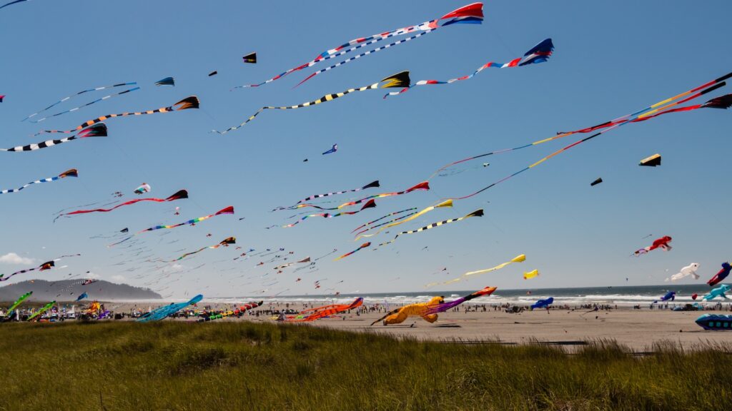 Many large kites with long tails against a blue sky and beach.