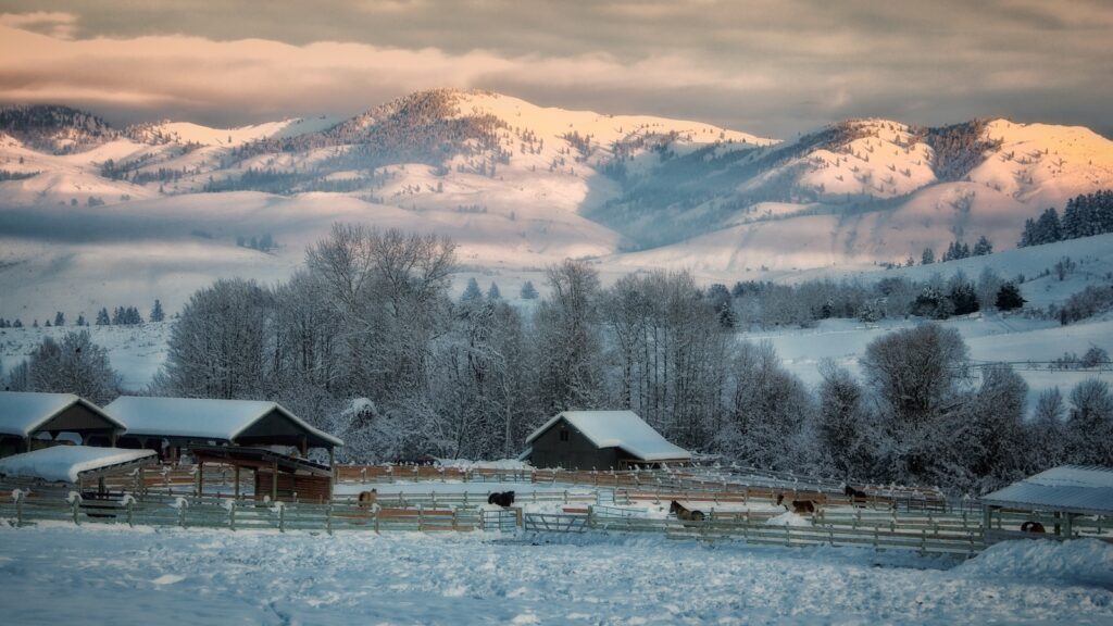Farm in winter in Methow Valley, WA