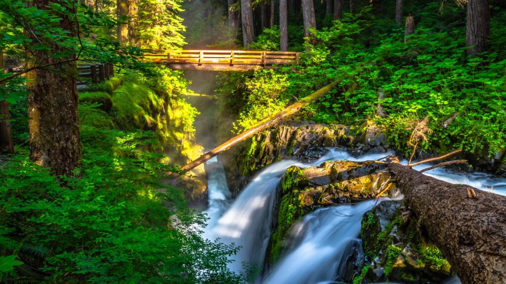 Morning Hike to Sol Duc Falls in Hoh Rainforest in Olympic National Park, Washington