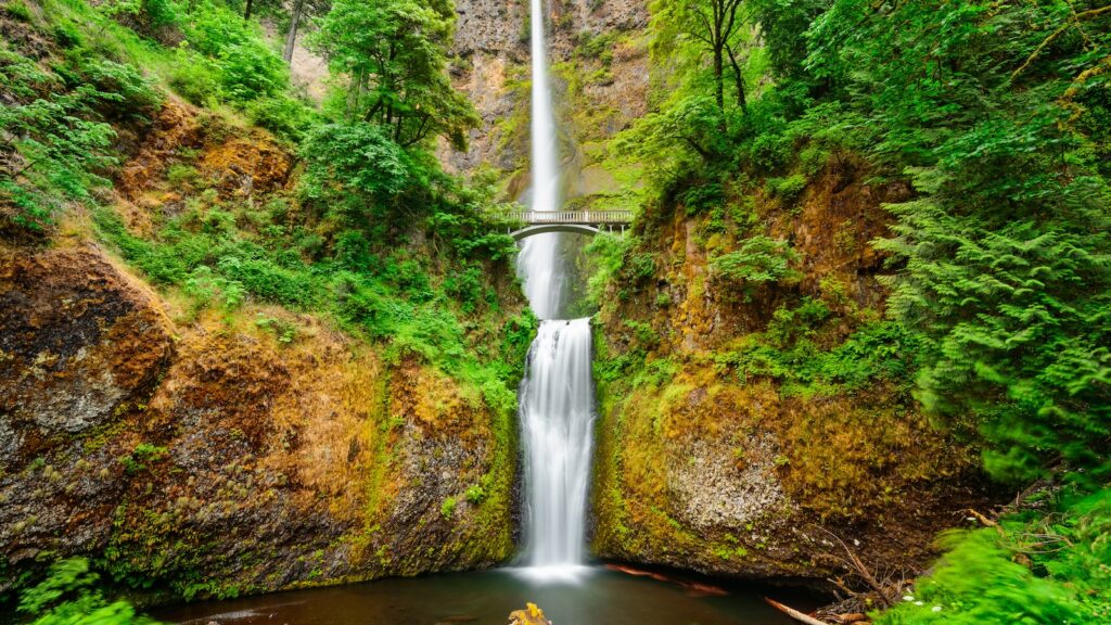 Multnomah Falls, Oregon, USA located in the Columbia River Gorge.