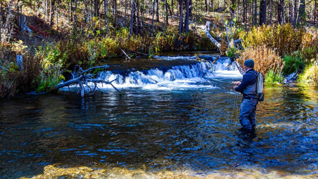 This hatchery was completed in 1929 and introduces trout into the Fall River.  Fly fishing welcome.