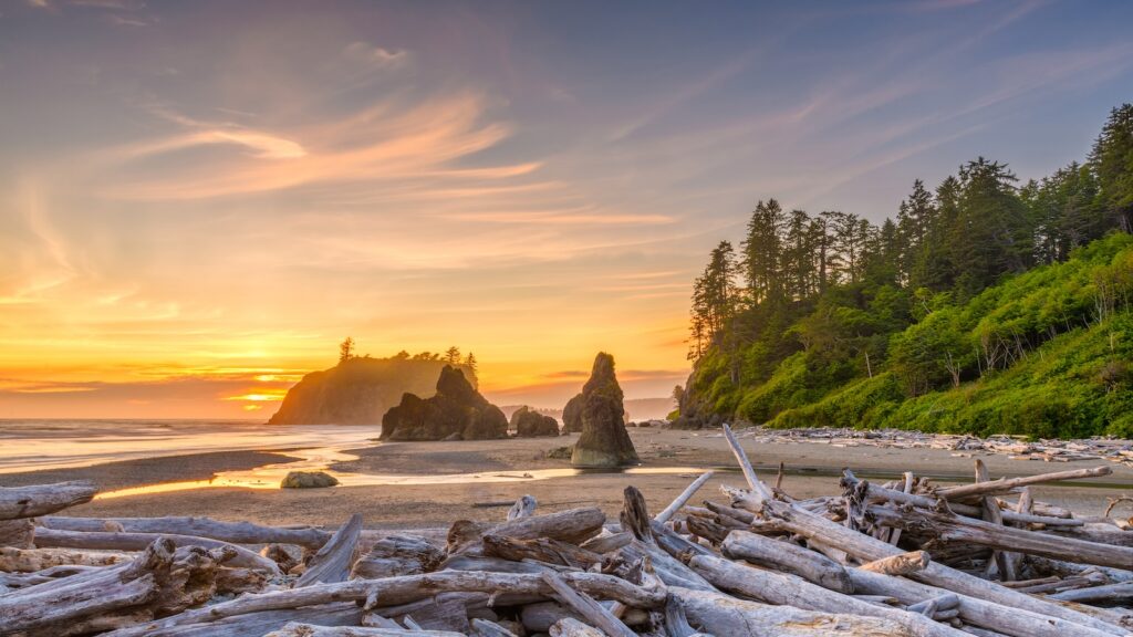 Olympic National Park, Washington, USA at Ruby Beach with piles of deadwood.