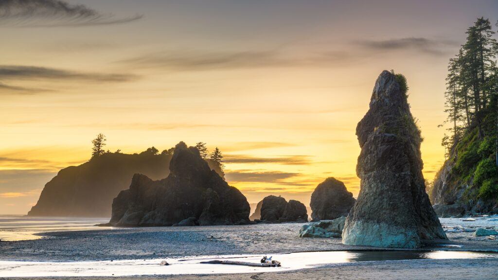 Olympic National Park, Washington, USA at Ruby Beach at dusk.