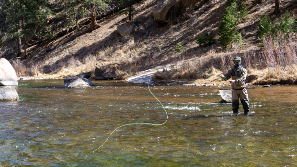 Man fly fishing alone in Cheesman Canyon, Colrado on a sunny day