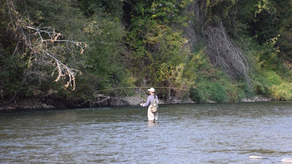 unidentified man fly fishing in the water of the Yakima River in Ellensburg, Washington