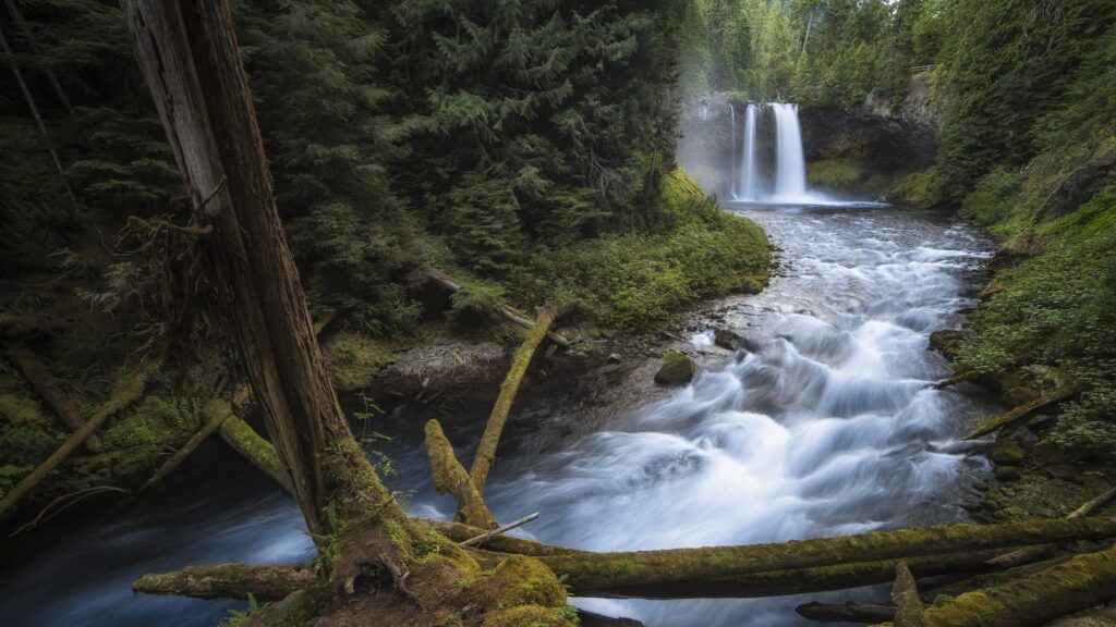 Koosah Falls-Waterfall-Willamette National Forest-Eugene-Oregon